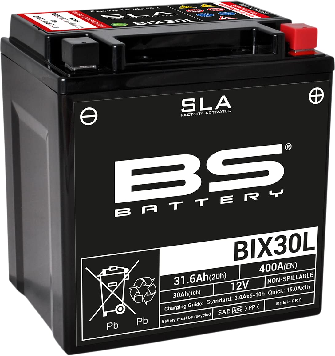 BS Battery 300631 BIX30L AGM SLA Motorrad Batterie, Schwarz von BS Battery