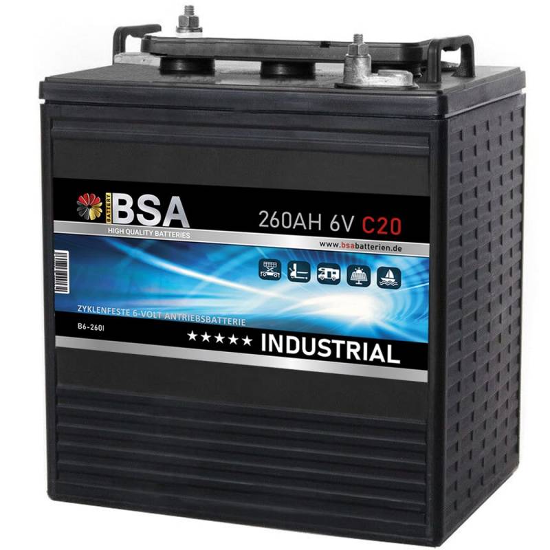 BSA Batterie 6V 260Ah C20 Traktionsbatterie Antrieb Gabelstapler Stapler Hubwagen Hebebühne Elektroauto Batterie Golfcart Batterie 215Ah C5 von BSA BATTERY HIGH QUALITY BATTERIES