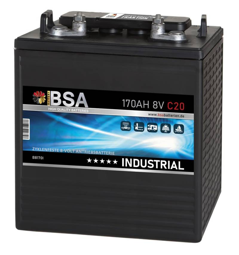 BSA Batterie 8V 170Ah Traktionsbatterie Antrieb Gabelstapler Stapler Hubwagen Hebebühne Elektroauto Batterie von BSA BATTERY HIGH QUALITY BATTERIES