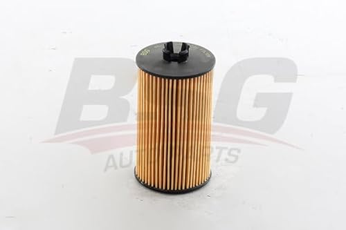 BSG 65-140-008, ÖLFILTER Kompatibel Mit ASTRA G ASTRA H ASTRA J CORSA B CORSA C CORSA D CORSA E INSIGNIA MOKKA ADAM AVEO CRUZE X12XE-Z12XE-P-Z14XEP-A14NET-A14XER-A16XER-A16LET 96-, 65017256 von BSG