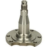 Achsschenkel, Radaufhängung BTA H5A003BTA von Bta