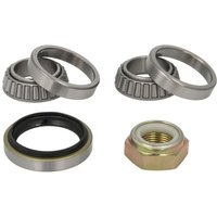 Radlagersatz BTA H1G023BTA Links Radlagersatz BTA H1G023BTA Links von Bta