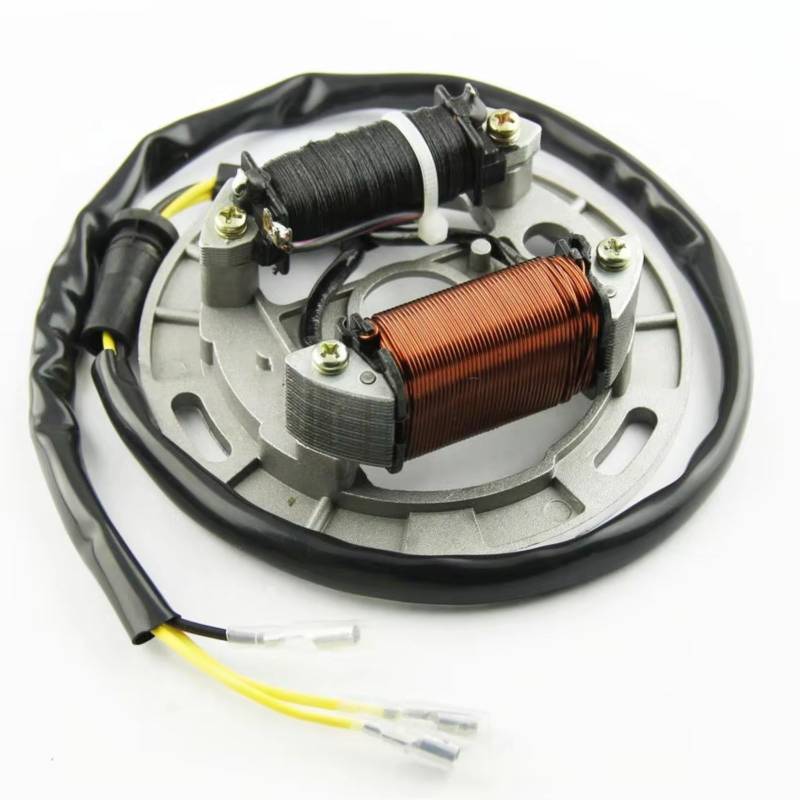BTEDSXC Magneto Stator Plate Kompatibel Mit Suzuki Für LT80 Für Quadsport 1987 1988 1989 1990 1991 1992 1993 1994 1995 1996 Motorrad Zündung Magneto Stator Spule von BTEDSXC