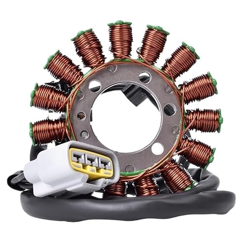 Motorrad Generator Magneto Stator Spule for S1000RR S1000R 2008-2018 S 1000 RR HP4 2011 HP4 RACE 2017 12317718420 von BUFPULKN