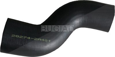 Bugiad Ladeluftschlauch [Hersteller-Nr. 88638] für Hyundai, Kia von BUGIAD