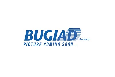 Bugiad Ladeluftschlauch [Hersteller-Nr. 82059] für Citroën, Peugeot von BUGIAD