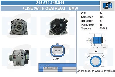 Bv Psh Generator [Hersteller-Nr. 215.571.145.014] für Mini von BV PSH