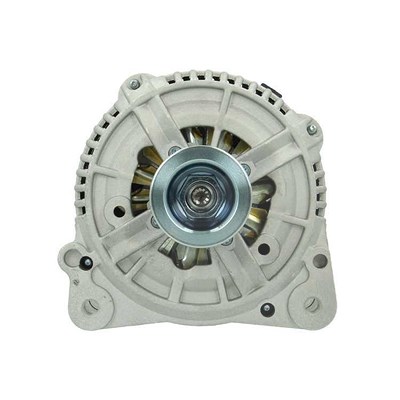 Bv Psh Lichtmaschine 120A [Hersteller-Nr. 305.504.120.010] für Audi, Ford, Seat, Skoda, VW von BV PSH