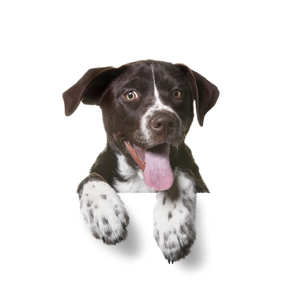 BYNYXI Auto Hunde Aufkleber, 3D Lustige Tier Aufkleber PVC Wasserdicht Sticker Bulldogge Aufkleber Lustige Französische Bulldog Bully Autofenster Styling Aufkleber für Laptops Wand-16.5cmx21.5cm von BYNYXI