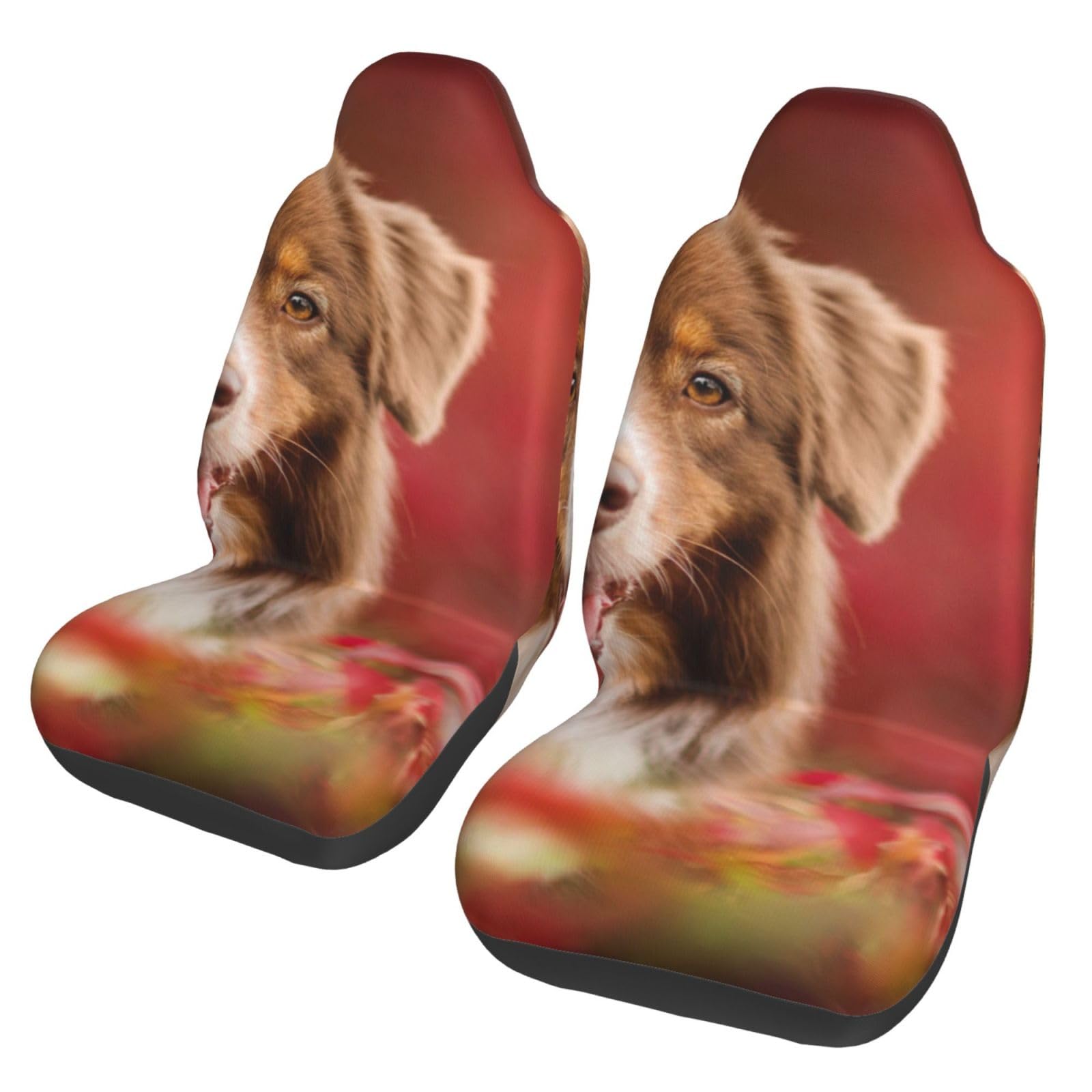 BYwenhopnbs Australian Shepherd (3) ， 2 PCS Autositzbezüge für Vordersitze, universeller Anti-Rutsch-Sitzschutz von BYwenhopnbs