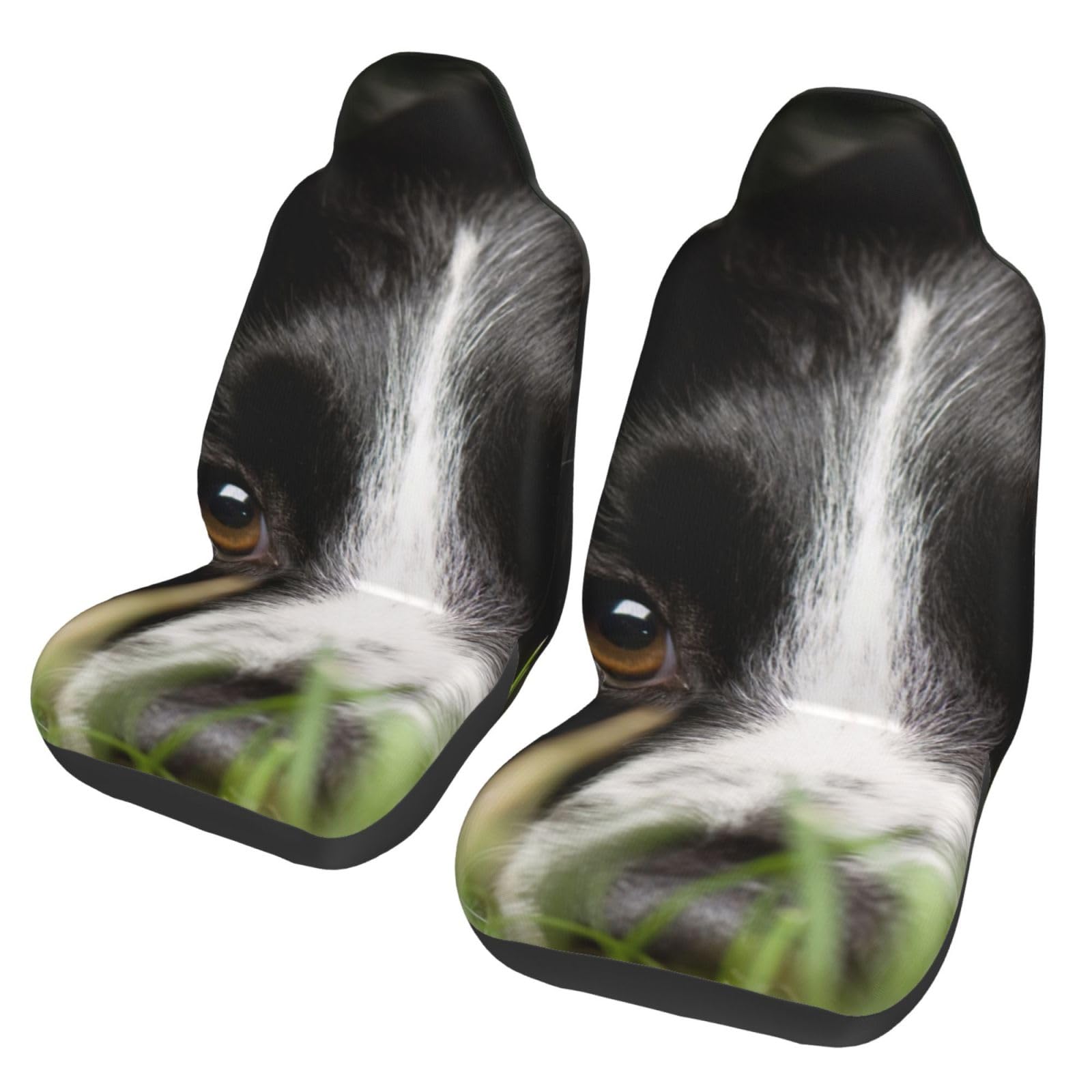 Border Collie Pets Grass Black Border Collie, 2 Stück Autositzbezüge für Vordersitze, universeller Anti-Rutsch-Sitzschutz Border Collie Pets Grass Black Border Collie, 2 Stück Autositzbezüge für Vordersitze, universeller Anti-Rutsch-Sitzschutz von BYwenhopnbs