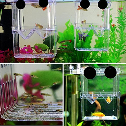 BallylellyFischzucht Isolation Hanging Aquarium Zubehör Inkubator Box Tank (Farbe: Transparent) von Ballylelly