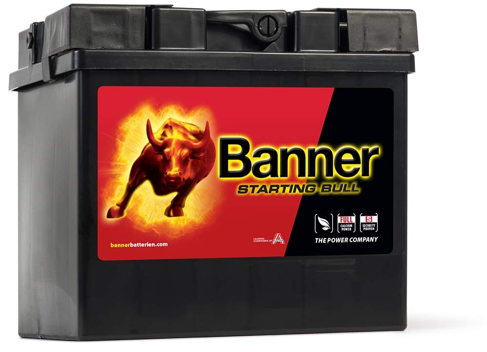 Banner 53030 Starting Bull 895 Starting Bull Erstausrüster-Qualitätsbatterie von Banner