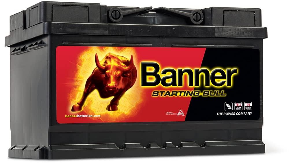 Banner 57233 Beginnend Bull 086 OEM QUALITÄT Akku von Banner