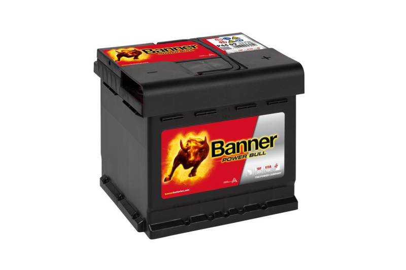 Banner Power Bull 12V 44Ah P4409 von Banner