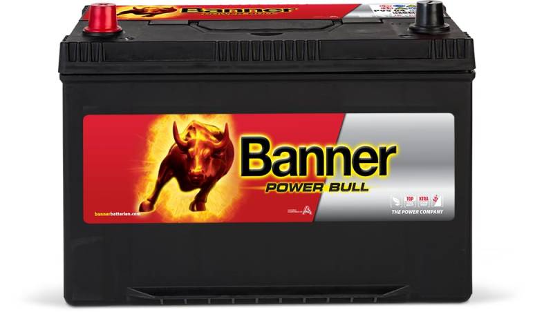 Banner p9505 Power Bull 250 Power Bull Kalzium Ölpest & nach hinten losgehen geschützt Akku von Banner