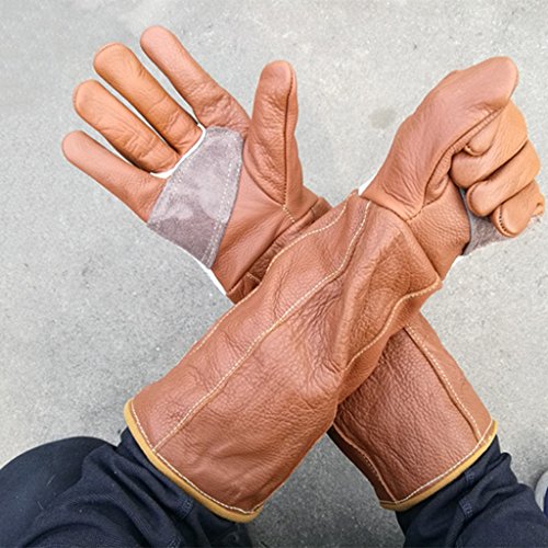 Handschuhe Verdickung Handschuhe Double Grooming Trim Tierpflege Kratzer beißen Frost Frost Arbeitshandschuhe Männer & Frauen erhältlich 1 Farbe 1 Paar ( Size : 37cm ) von Bao Xing Bei Firm