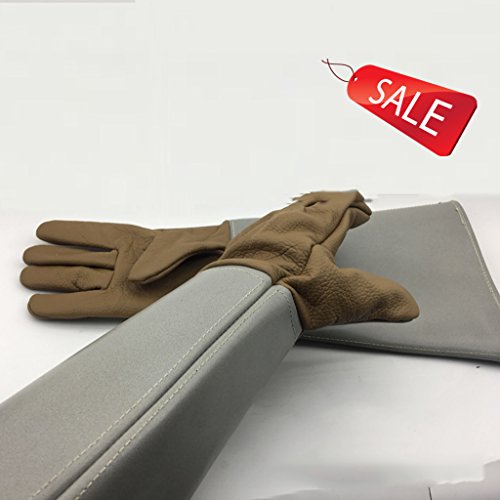 Handschuhe Verdickung Handschuhe Double Grooming Trim Tierpflege Kratzer beißen Frost Frost Arbeitshandschuhe Männer & Frauen grau 1 Paar Handschuhe Verdickung Handschuhe Double Grooming Trim Tierpflege Kratzer beißen Frost Frost Arbeitshandschuhe Männer & Frauen grau 1 Paar von Bao Xing Bei Firm
