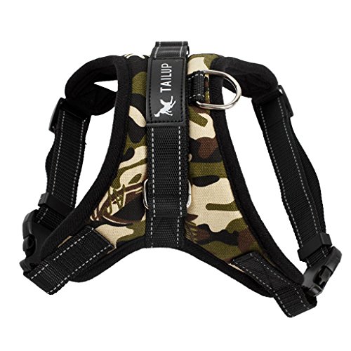 Baoblaze 1 Stk. Haustier Geschirre Hundegeschirr Hundeausführen Harness Softgeschirr gefüttert Sicherheitsgeschirre - Camouflage_M, M Baoblaze 1 Stk. Haustier Geschirre Hundegeschirr Hundeausführen Harness Softgeschirr gefüttert Sicherheitsgeschirre - Camouflage_M, M von Baoblaze