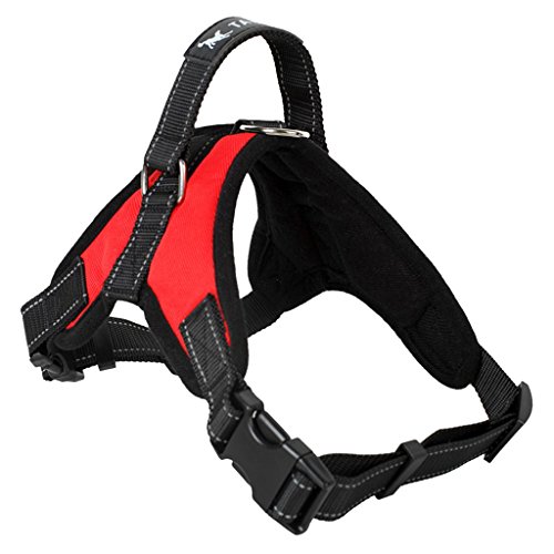 Baoblaze 1 Stk. Haustier Geschirre Hundegeschirr Hundeausführen Harness Softgeschirr gefüttert Sicherheitsgeschirre - Rot, L von Baoblaze