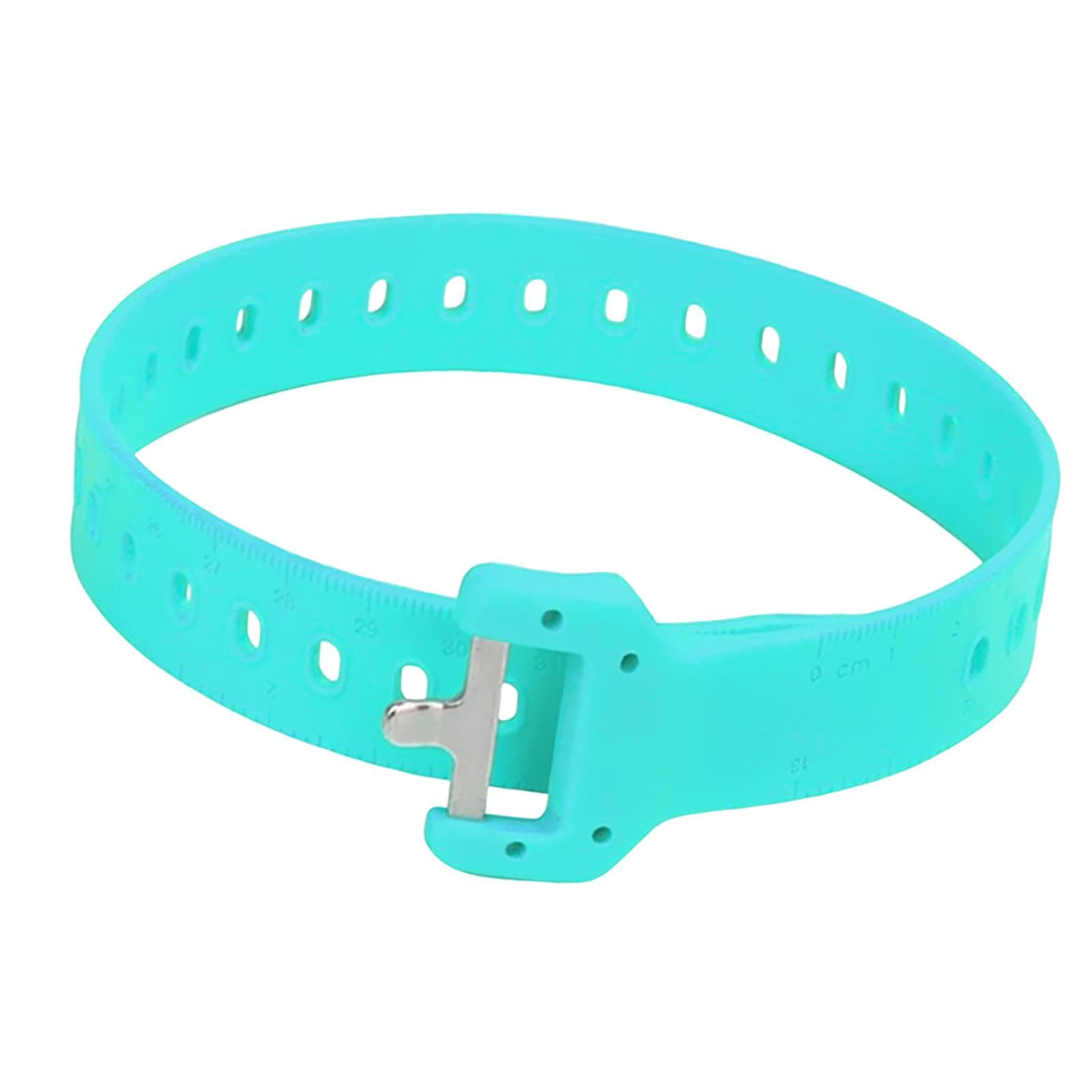 Baoblaze Mehrzweck-Spanngurt, multifunktionales Zurrseil, vielseitig verwendbar, praktisch, elastisch mit Schnalle für Ausrüstung, Reisen, Outdoor-Sport, Blau Baoblaze Mehrzweck-Spanngurt, multifunktionales Zurrseil, vielseitig verwendbar, praktisch, elastisch mit Schnalle für Ausrüstung, Reisen, Outdoor-Sport, Blau von Baoblaze