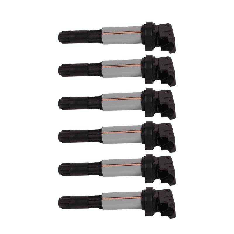 6x Bapmic Zündspule ZÜNDMODUL compatible avec B-M-W 3-ER E46 320 325 330 M3 M54 12131712219 12131712223 12137551260 von Bapmic