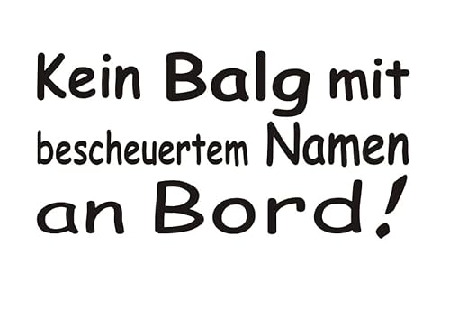 Baumgartner Kein Balg mit bescheuertem Namen an Bord Auto Aufkleber JDM Sticker - SPR_002 (053 hellblau) von Baumgartner