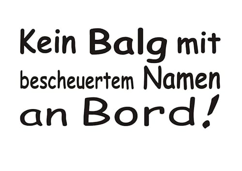 Baumgartner Kein Balg mit bescheuertem Namen an Bord Auto Aufkleber JDM Sticker - SPR_002 (090 Silbergrau) von Baumgartner
