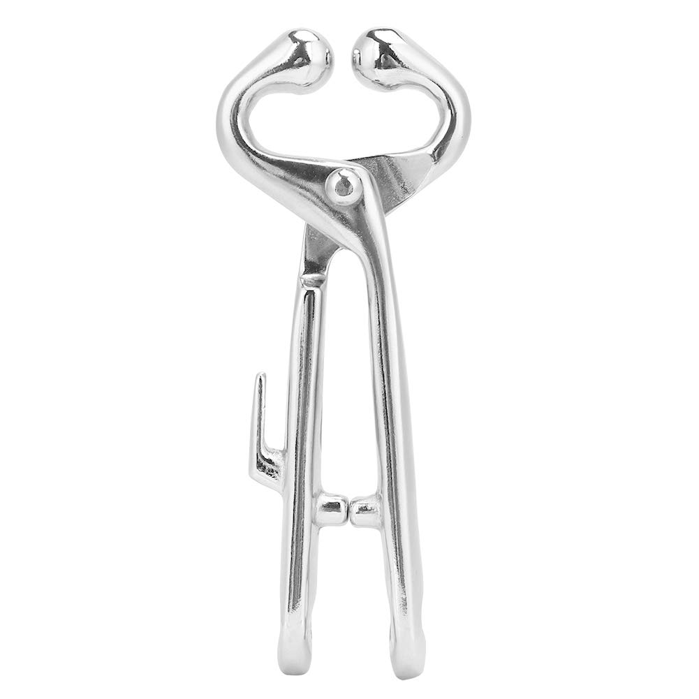 Baxnore Kohlenstoffstahl Kuhnasenringzange Bulle Rinder Rinderclip -Ziehausrüstung Werkzeug für Landwirte und Tierärzte mit Premium -Anti -Rost -Material Glatte Oberflächenkugelkiefer Baxnore Kohlenstoffstahl Kuhnasenringzange Bulle Rinder Rinderclip -Ziehausrüstung Werkzeug für Landwirte und Tierärzte mit Premium -Anti -Rost -Material Glatte Oberflächenkugelkiefer von Baxnore
