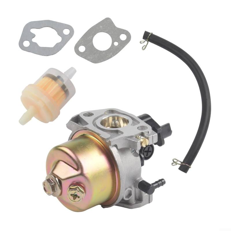 Bebykilemi HP164 Vergaser-Set für Mountfield Rasenmäher, kompatibel mit HP164 SP164 HP414 SP414 M411PD für RS100 Modelle Rasenmäher Ersatzteile von Bebykilemi