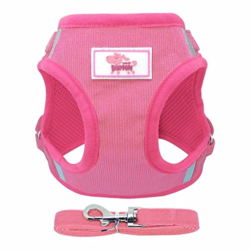 Berry kein Pull & kein Choke Design Reflektierende Hund Weste & Leine Set – Soft Geschirr für kleine mittelgroße Hunde & Katzen – Komfort Mesh Gepolsterte Geschirr mit 4 ft Leine Pet Supplies, blau, rot, rosa, XS, S, M, L von Berry