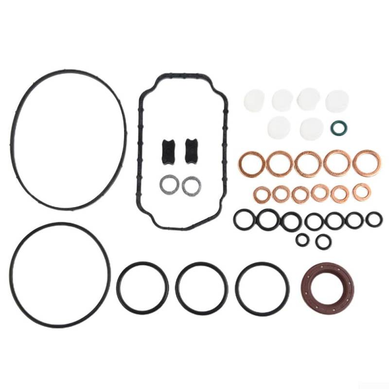Einspritzpumpe Reparatur Set kompatibel mit Bosch 1467010059 für Dodge 5 9 12V von Besshepplo