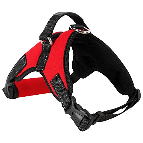 wocharm strapazierfähige atmungsaktiv Geschirr Brustgurt Puppy Weste für Hunde Haustiere Training wocharm strapazierfähige atmungsaktiv Geschirr Brustgurt Puppy Weste für Hunde Haustiere Training von Best World 4 Yu