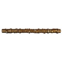 Nockenwelle BF 20100413001 von Bf