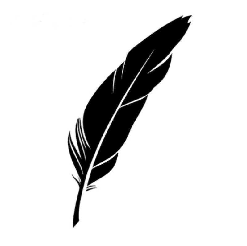 Bhysfenhgttvv 4 stücke Auto Aufkleber10*17 cm Vogel Feder Vinyl Aufkleber Auto Aufkleber Schwarz von Bhysfenhgttvv