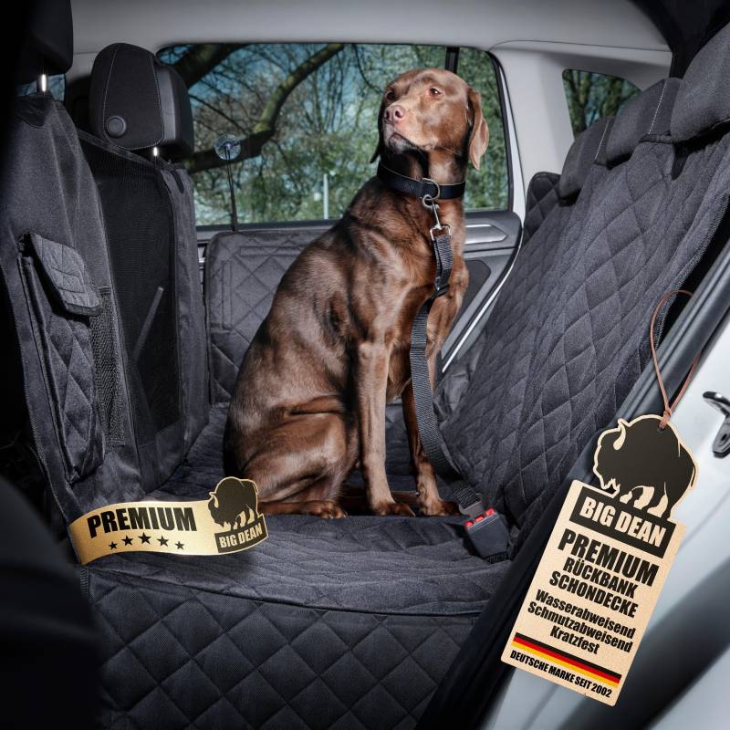 BigDean Premium Rückbank Autoschutzdecke schmutz- & wasserabweisend - Schutz für Hund Auto Rückbank – universelle Passform von BigDean