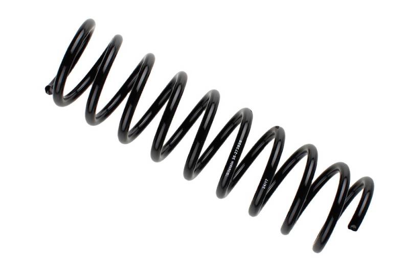 Fahrwerksfeder Hinterachse Bilstein 36-273928 Fahrwerksfeder Hinterachse Bilstein 36-273928 von Bilstein