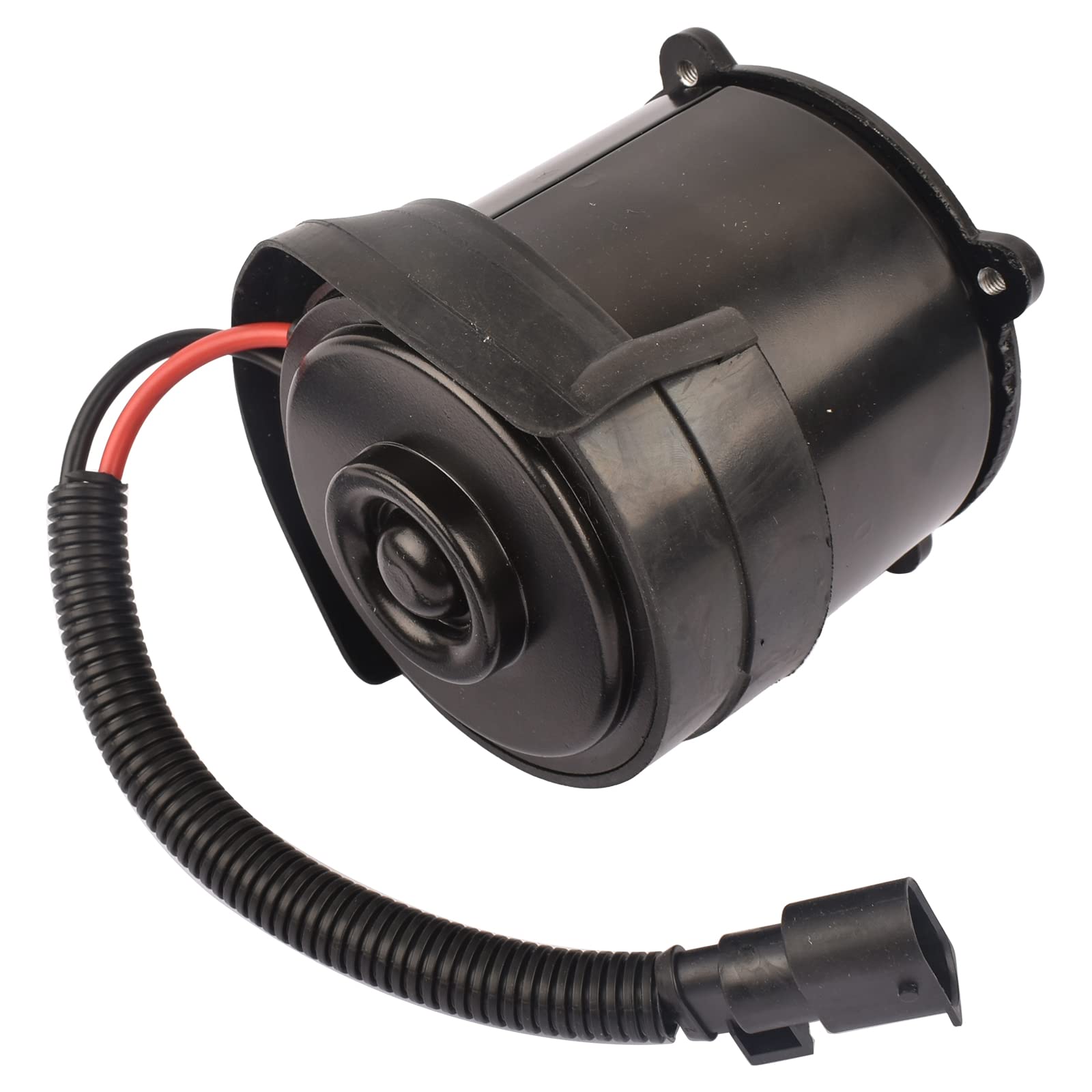 Bisenya Elektrische Servolenkung Pumpenmotor Ersatz für Kubistar Camionnette X76 Clio II BB_ CB_ Clio II Camionnette 3/5 portes SB0/1/2 Kangoo Express ThaliaI LB 491107211R 7700421259 7701470783 Bisenya Elektrische Servolenkung Pumpenmotor Ersatz für Kubistar Camionnette X76 Clio II BB_ CB_ Clio II Camionnette 3/5 portes SB0/1/2 Kangoo Express ThaliaI LB 491107211R 7700421259 7701470783 von Bisenya
