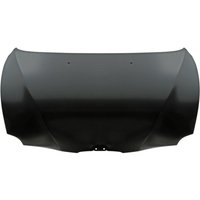 Motorhaube BLIC 6803-00-0109280P Motorhaube BLIC 6803-00-0109280P von Blic