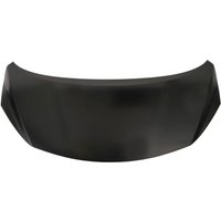 Motorhaube BLIC 6803-00-1638280P Motorhaube BLIC 6803-00-1638280P von Blic