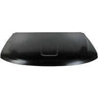 Motorhaube BLIC 6803-00-3206280P Motorhaube BLIC 6803-00-3206280P von Blic