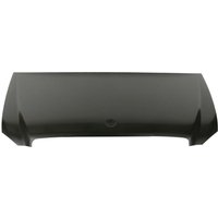 Motorhaube BLIC 6803-00-3541281P Motorhaube BLIC 6803-00-3541281P von Blic