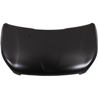 Motorhaube BLIC 6803-00-5516280P Motorhaube BLIC 6803-00-5516280P von Blic