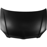 Motorhaube BLIC 6803-00-8116280P Motorhaube BLIC 6803-00-8116280P von Blic