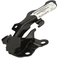 Motorhaube - Teile BLIC 6802-00-8136452P Motorhaube - Teile BLIC 6802-00-8136452P von Blic
