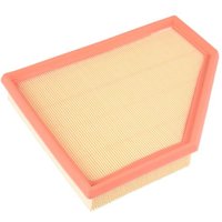 Luftfilter BLUE PRINT ADBP220038 von Blue Print