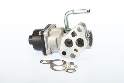 Borgwarner (wahler) AGR-Ventil [Hersteller-Nr. 710935D/1] für Ford, Mazda, Volvo von BorgWarner (Wahler)