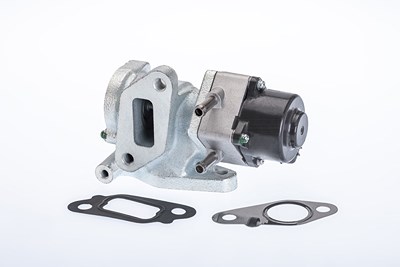 Borgwarner (wahler) AGR-Ventil [Hersteller-Nr. 710972R] für Nissan von BorgWarner (Wahler)