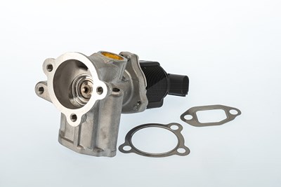 Borgwarner (wahler) AGR-Ventil [Hersteller-Nr. 710773D/1] für Alfa Romeo, Fiat, Lancia, Opel, Vauxhall von BorgWarner (Wahler)