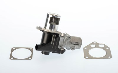 Borgwarner (wahler) AGR-Ventil [Hersteller-Nr. 710928D/1] für Dacia, Nissan, Renault von BorgWarner (Wahler)
